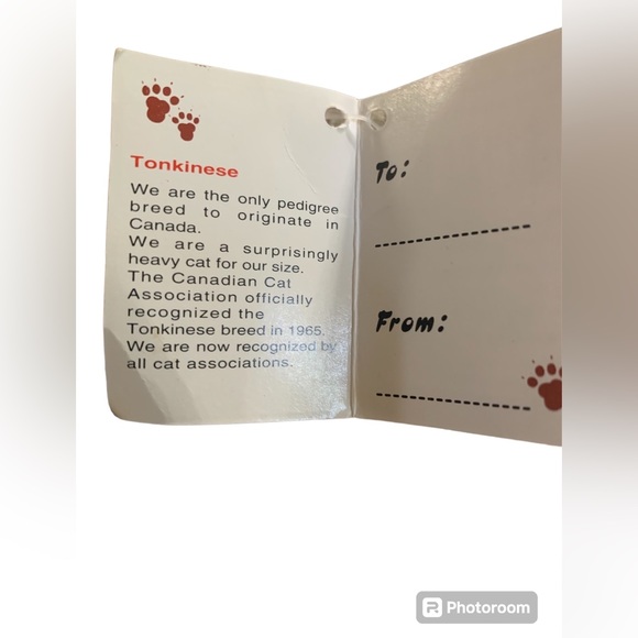 Dream‎ Play Vintage 1998 cat, with the tag - Picture 6 of 7